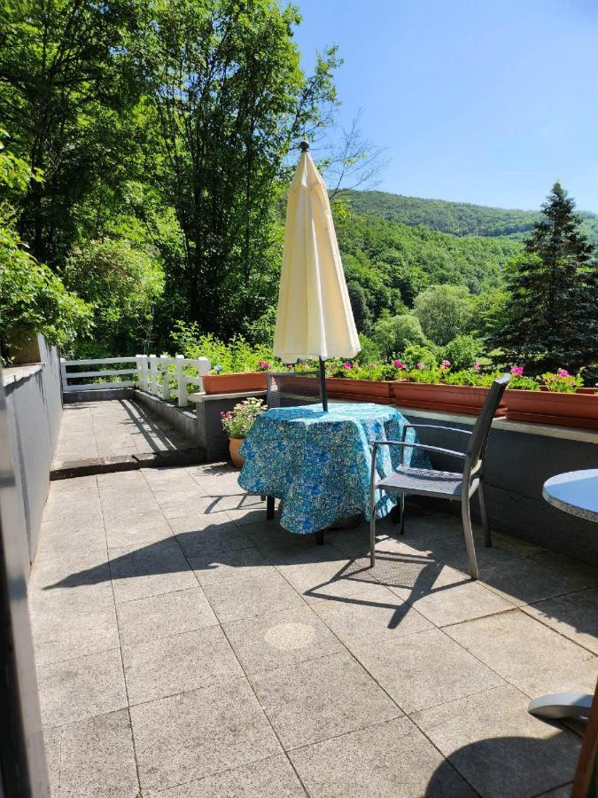 Gaestehaus Beurener Muehle Bad Bertrich Buitenkant foto